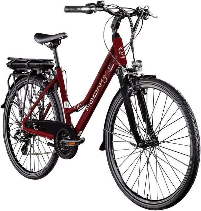 Agon Avesa E Bike Trekkingrad Damen Herren ab 155 cm mit Nabenmotor Pedelec Trekking Fahrrad mit 21 Gang und Beleuchtung StVZO Tiefeinsteiger
