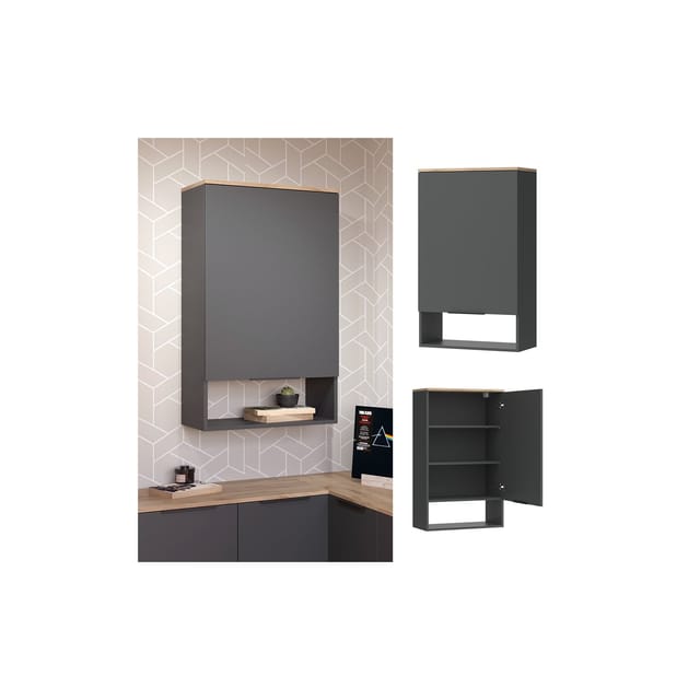 Vicco Hängeschrank Wido Anthrazit Eiche 60 x 100 cm mit Tür