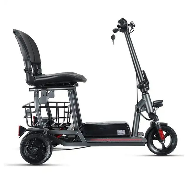 ENEWAY Muvy 3-Rad EMobil 6 km/h Elektromobil mit Lithium-Akku