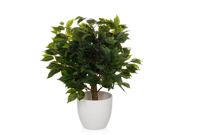 hjh OFFICE Kunstpflanze FICUS II Kunststoff