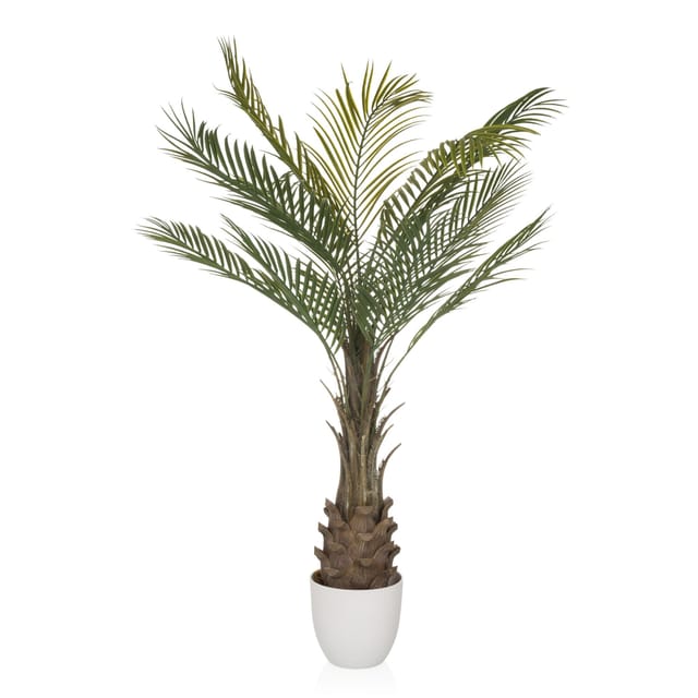 hjh OFFICE Kunstpflanze DRACAENA Kunststoff