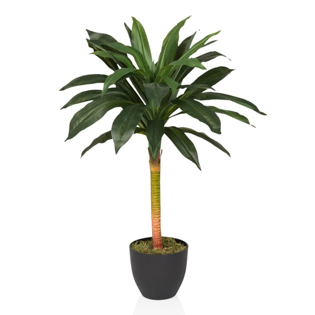 hjh OFFICE Kunstpflanze DRACAENA I Kunststoff