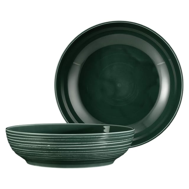Seltmann Weiden Foodbowl Terra ø 25,5 cm 2er Set