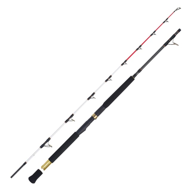 WFT Adventure Deep Water 2,15m, 30lbs 200-600g Meeresrute