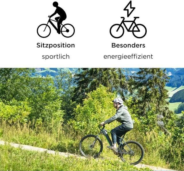Zündapp Z808 E Bike Mountainbike 29 Zoll dunkelblau