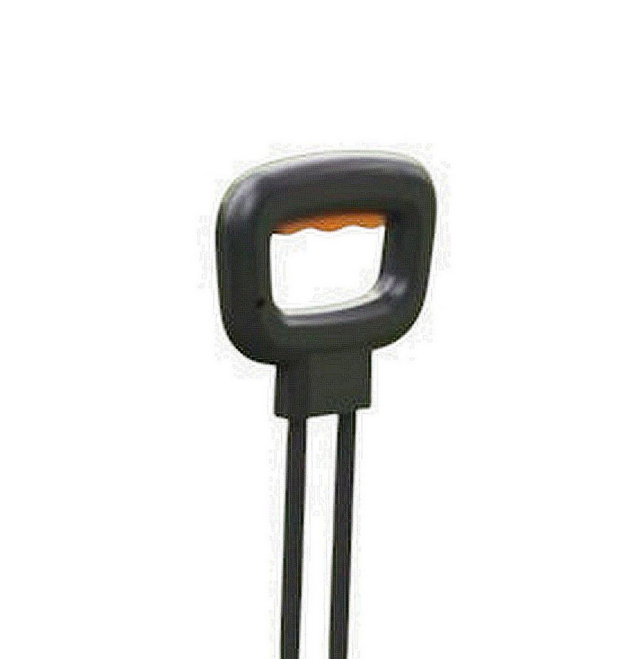 ENEWAY Bollero E-Bollerwagen Elektrischer Bollerwagen schwarz Bild 2