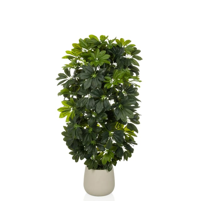 hjh OFFICE Kunstpflanze Schefflera 2 Kunststoff, Eisen