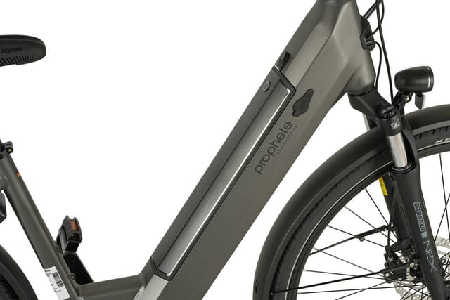 Prophete E-Bike Geniesser 3.0 City 28