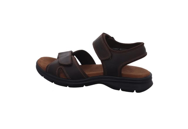 Sanders Basics Gr. 44