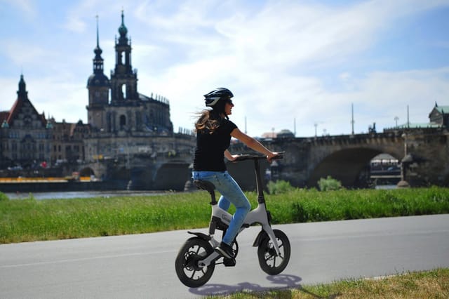 SachsenRAD [Refurbished] E-Faltrad F12 Klapprad Ebike Elektrofahrrad Titansilber