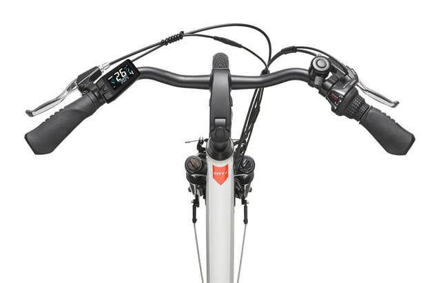 TELEFUNKEN E-Bike Damen 28 Zoll, Elektrofahrrad Frontmotor, 7-Gang Shimano Kettenschaltung, V-Bremsen - RC826 Multitalent