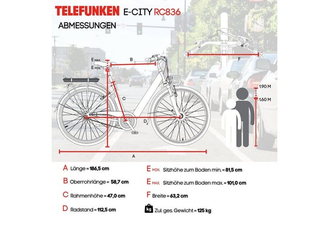 TELEFUNKEN E-Bike Damen 28 Zoll, Elektrofahrrad Frontmotor, 3-Gang Nabenschaltung, V-Bremsen - RC836 Multitalent
