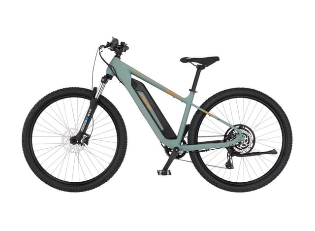 FISCHER Montis 2.2 ACTIVE - RH 49 cm, 29 Zoll, 688 Wh