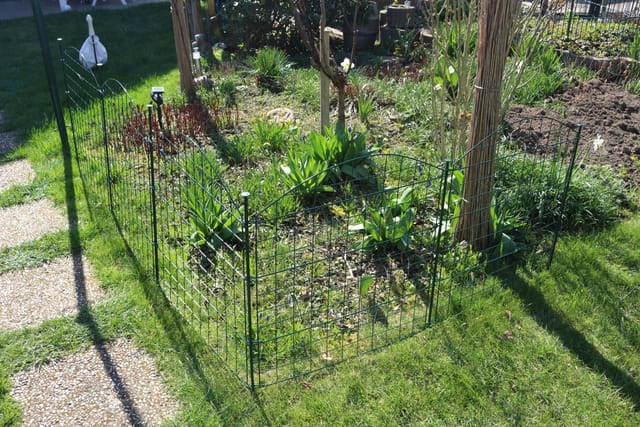 HC Garten & Freizeit Teichzaun Oberbogen Komplettset dunkelgrün