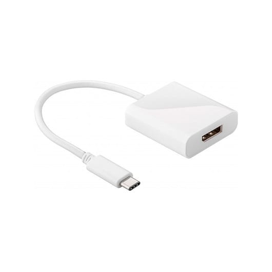 Pro USB 3.1 C - DisplayPort - White