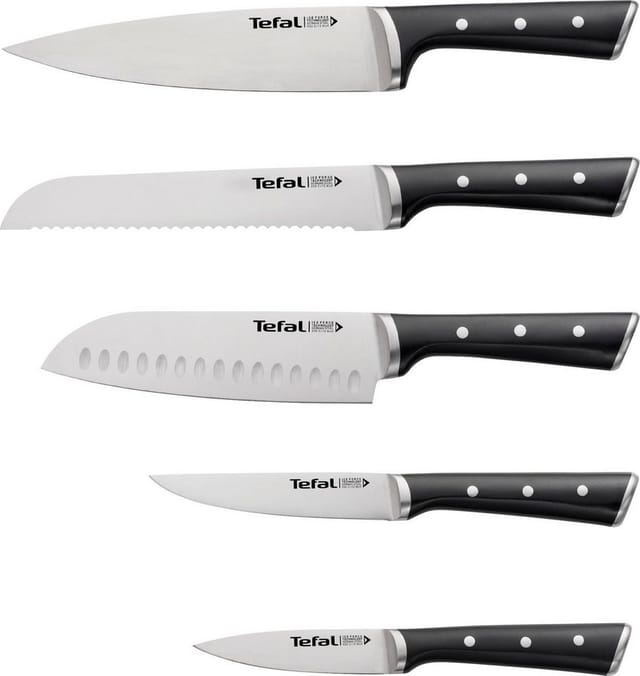 Tefal ICE FORCE Set Wooden block + 5 knives