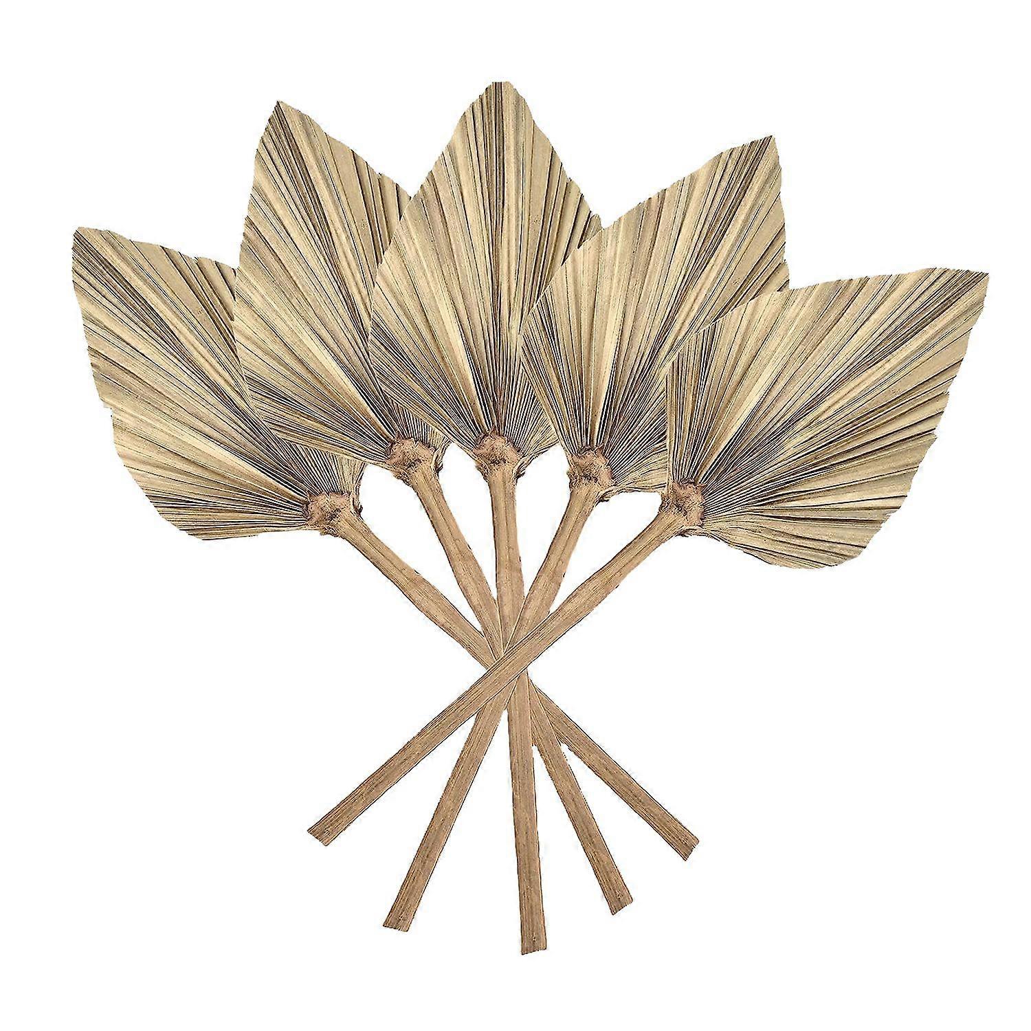 Set Mit 12 Natürlichen, Getrockneten Palmblättern Im Bohème-stil, Für Hochzeitsdekoration, Schlafzimmer, Küche Oder Büro, 10 X 40 Cm