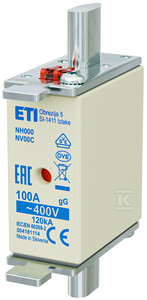 Nh000 Gg 100a/400v Sicherungseinsatz