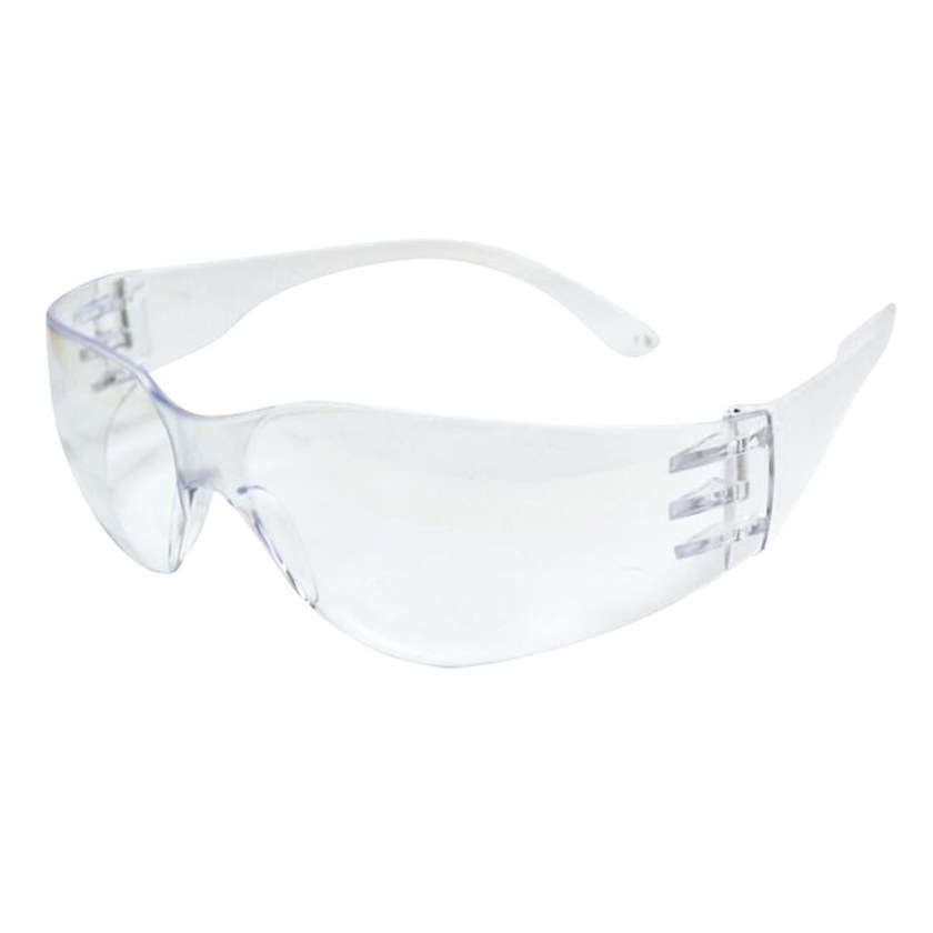 Grundlegende Transparente Schutzbrillen Prof