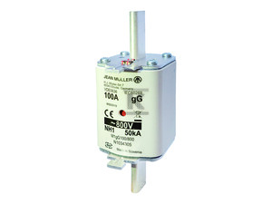 Sicherung Nh1 100a 800v Ac Gg