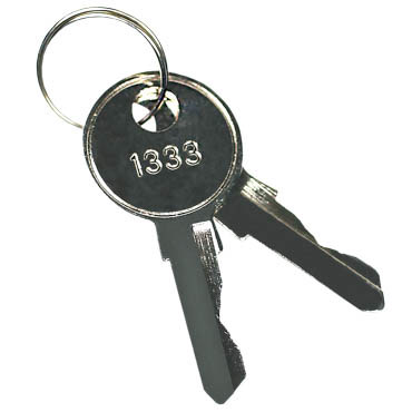 Patentschlüssel 1333 Key-1333