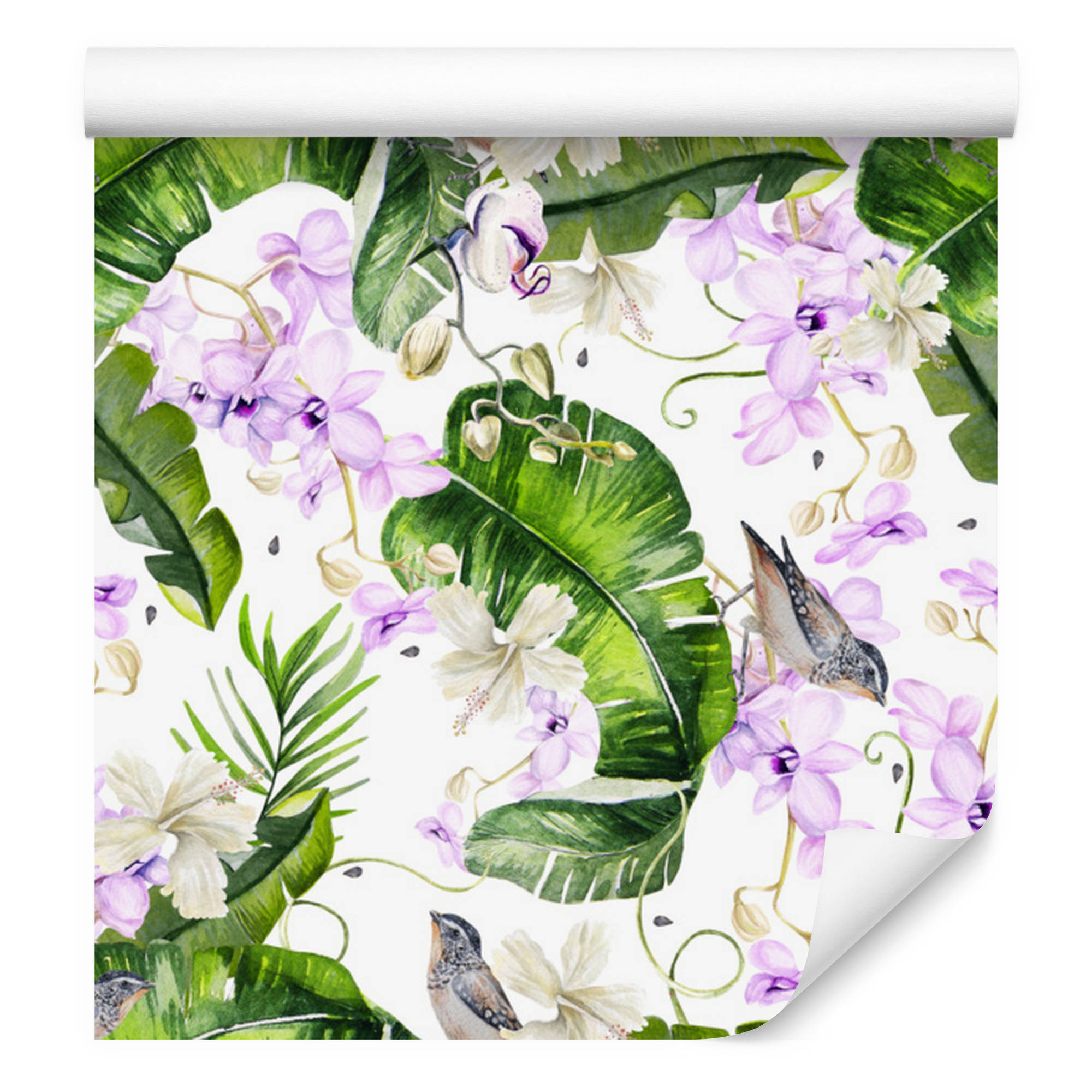 Tapete Mit Pflanzenmotiv, Orchideenblüten, Für Wohn- Und Schlafzimmer, 50 X 1000 Cm