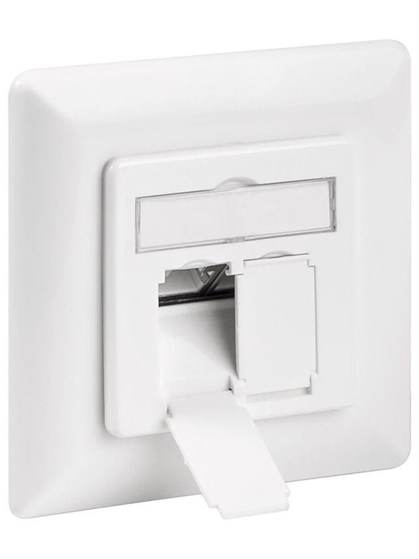 Pro CAT 6 wall plate flush mounting