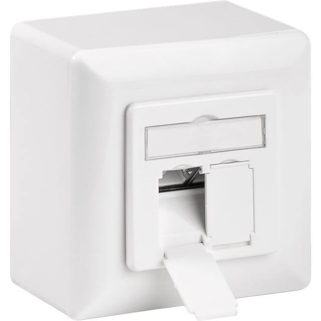 Pro CAT 6 universal wall plate incl. on-wall mounting