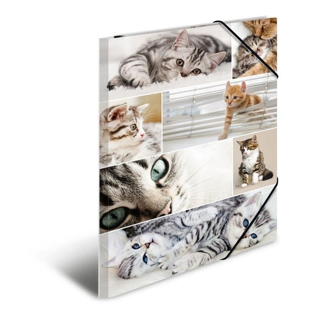 HERMA Elasticated folder A3 cardboard cats