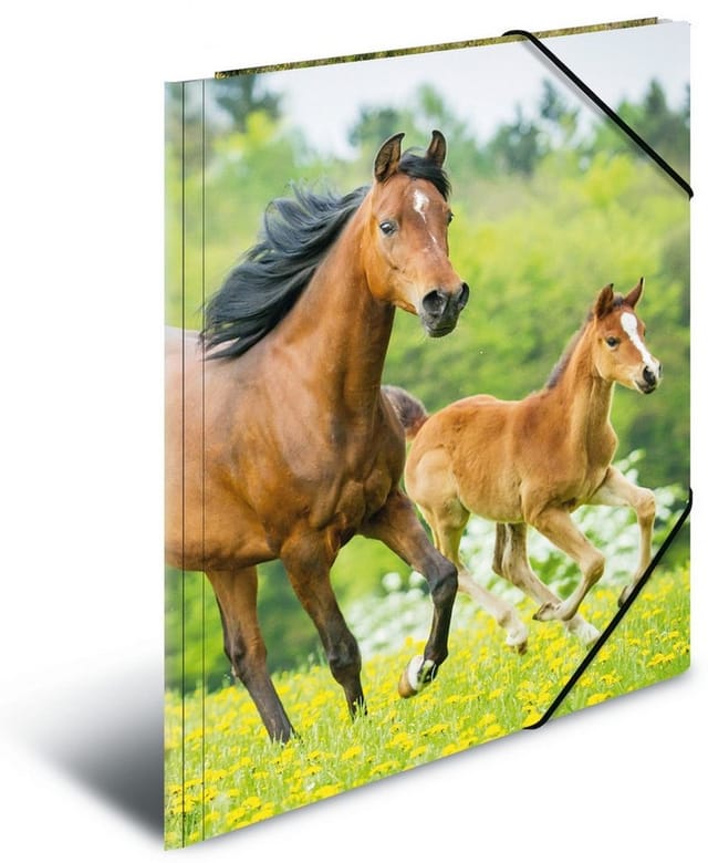 HERMA Elasticated folder A4 PP Horses