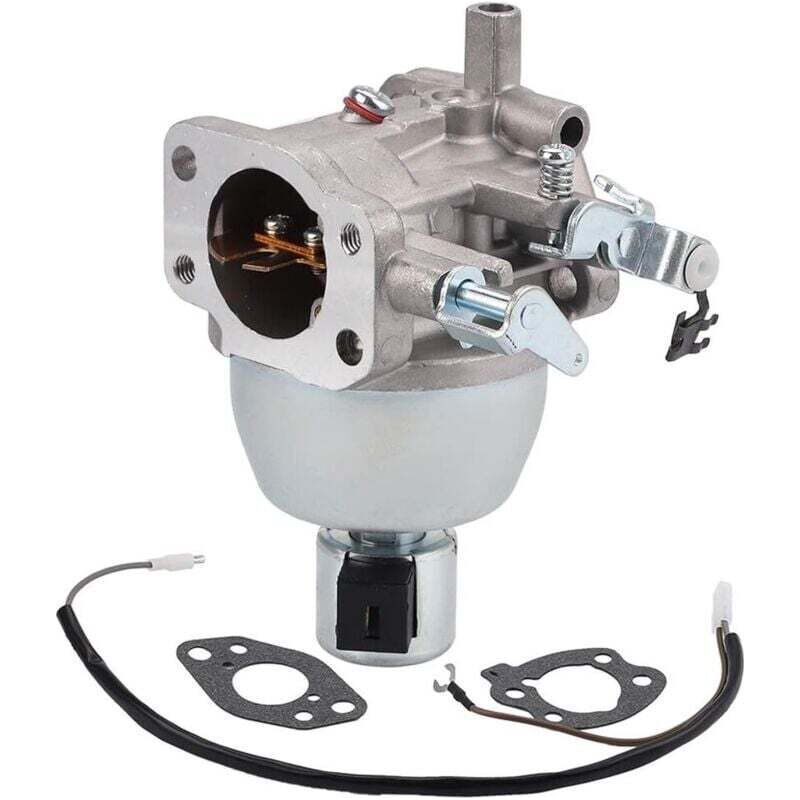 Vergaser Kompatibel Mit Referenznummer 847395 Für Die Modelle Bs 846280, 808725, 846944 Und Andere Ortviai-modelle.