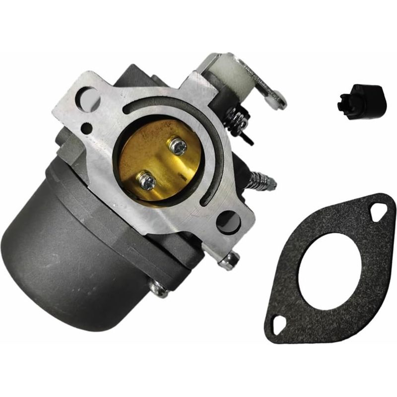 Ersatzvergaser Für Rasenmäher, Für Briggs & Stratton Motoren 285707, 289707, 28b705, 28m707, Ersetzt 494392, 494502, 495706, 799728.