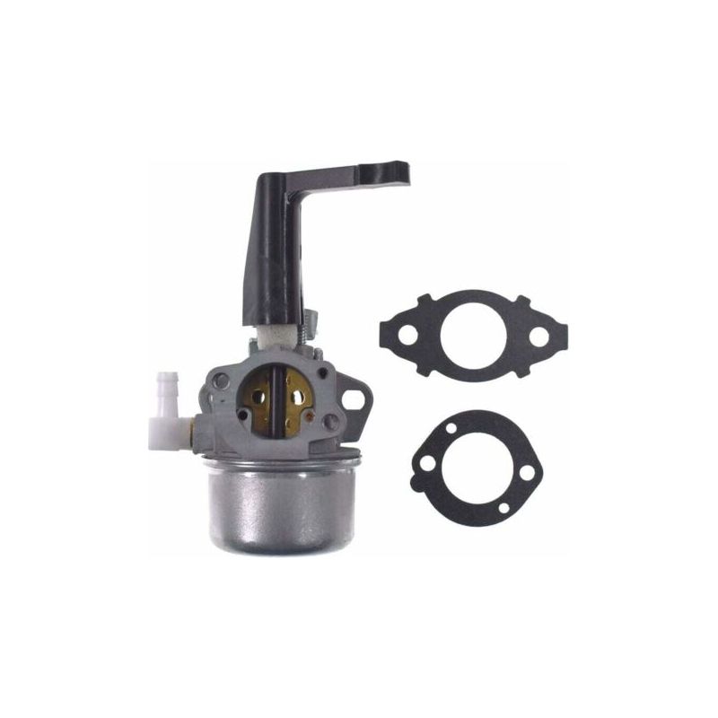 Bp17a-2 Vergaser Für Paragon Gartengeräte 696065 697422 110402