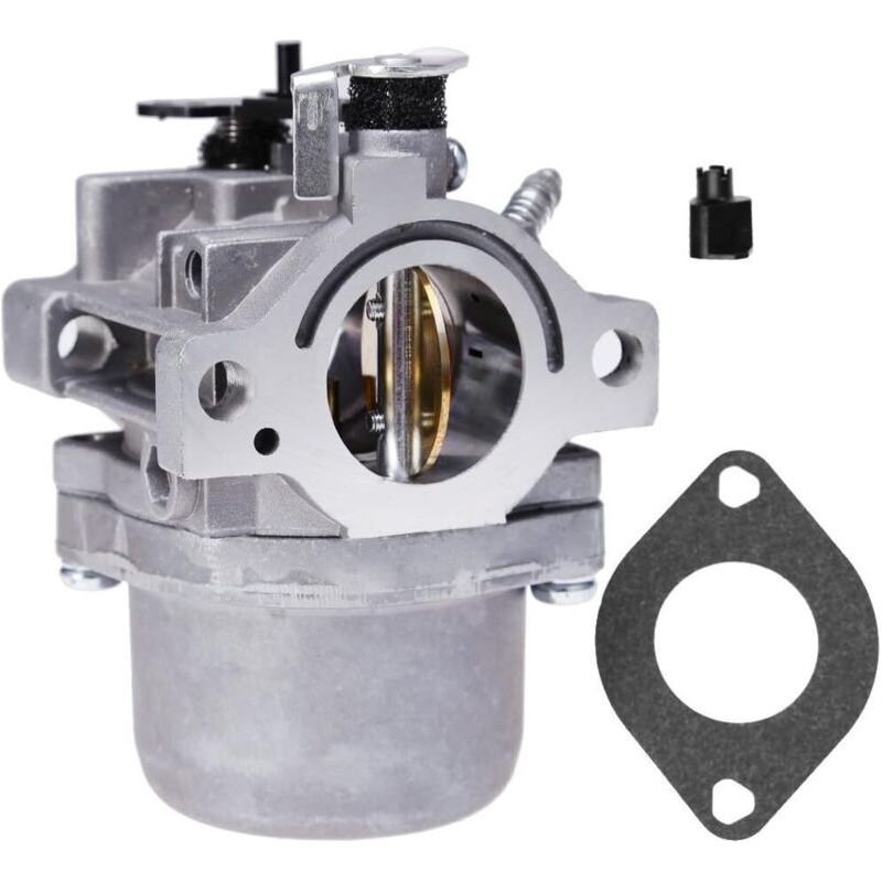 Bardusch - Vergaser Mit Dichtung. Passend Für Briggs & Stratton Motoren, Modelle 289702, 286702 Und 286707.