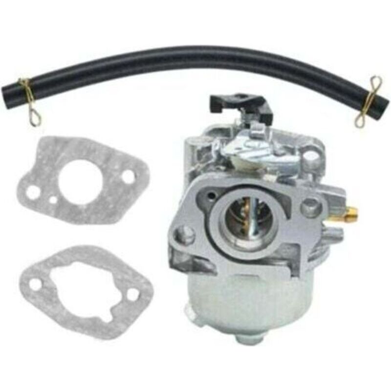 Vergaser Lhp16 – Kompatibel Mit Rv150, M150, V35, V40, Rm4 – Für Rasenmäher – Teilenummer 18550016 – 1 Stück