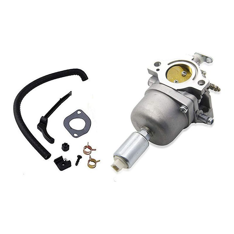 Royaluxe -794572 Vergaser Für Briggs & Stratton 791858 791888 792358 793224