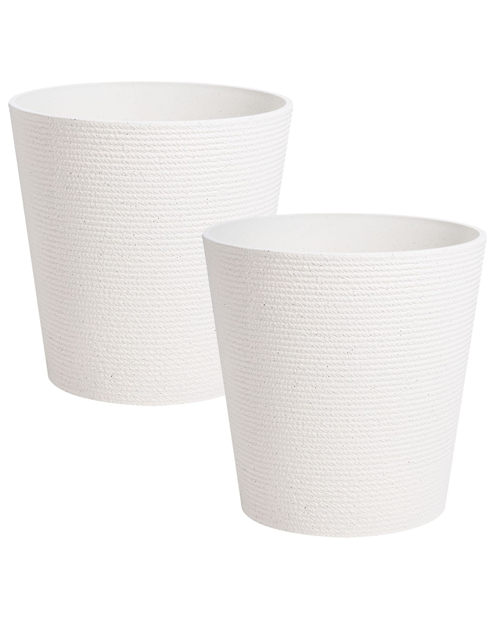 Set Mit 2 Blumentöpfen Armeria 50 Cm Weiß