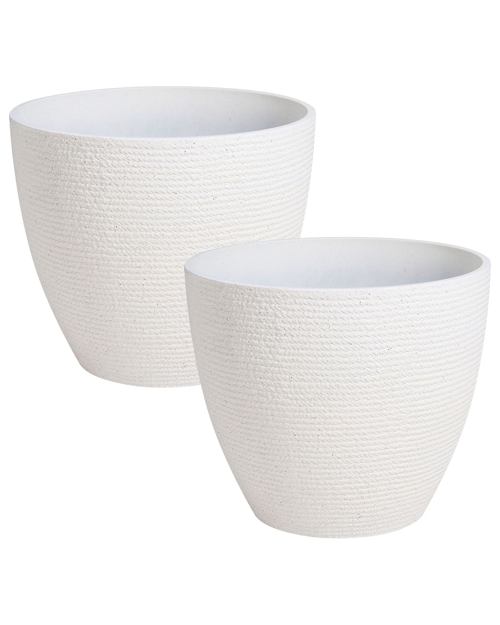 Set Mit 2 Blumentöpfen Fritillaria 50 Cm Cremeweiß