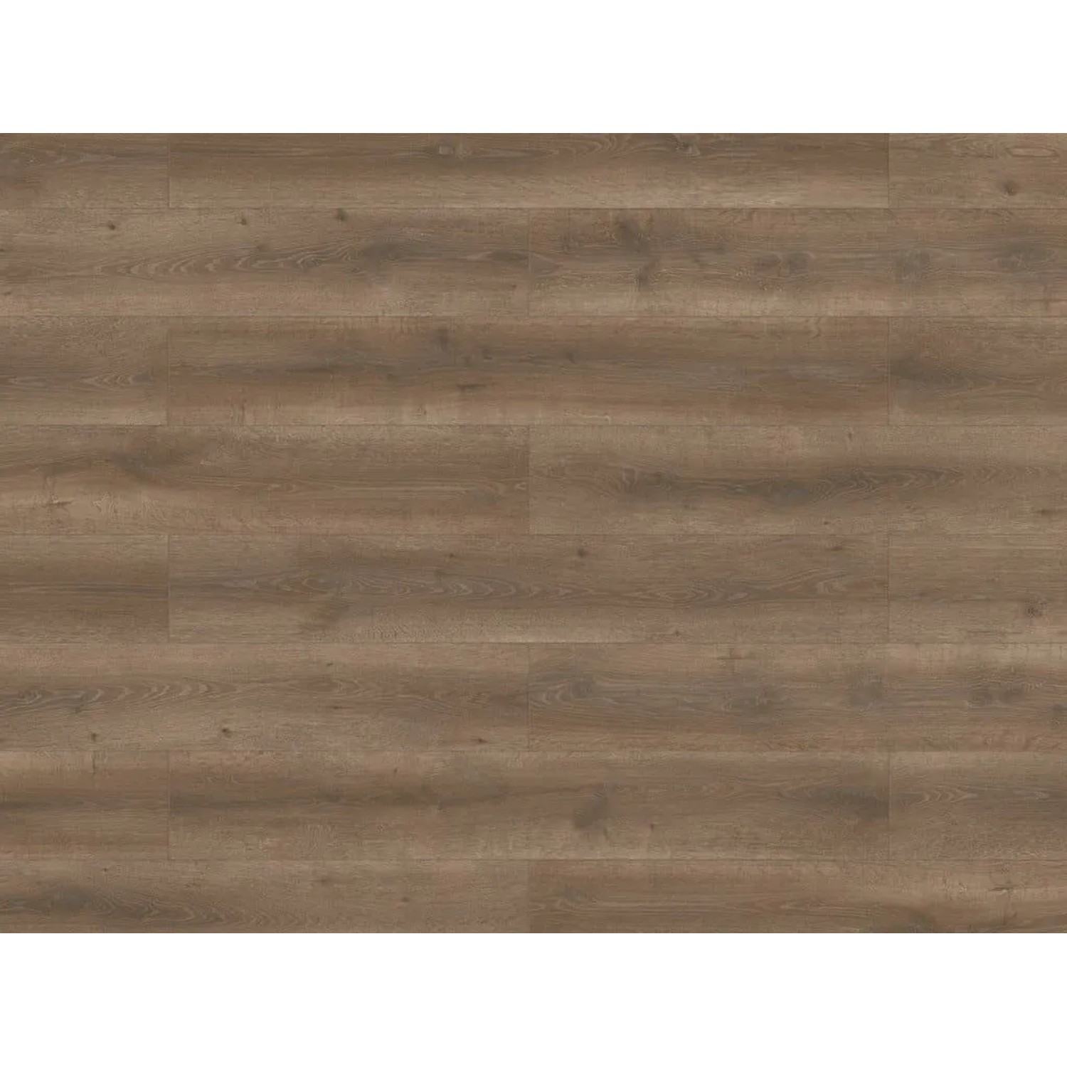 BASICfloor Laminat Lifestyle Trend Bellemont Oak Black Brown Landhausdiele