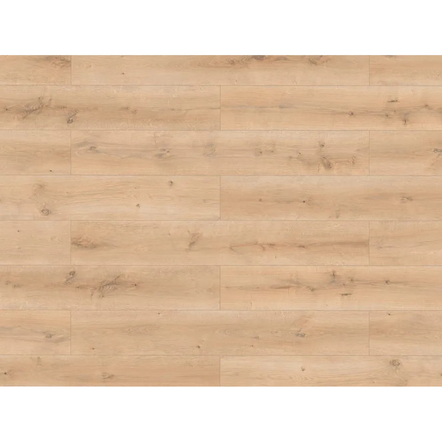 BASICfloor Laminat Lifestyle Trend Bellemont Oak Beige Landhausdiele