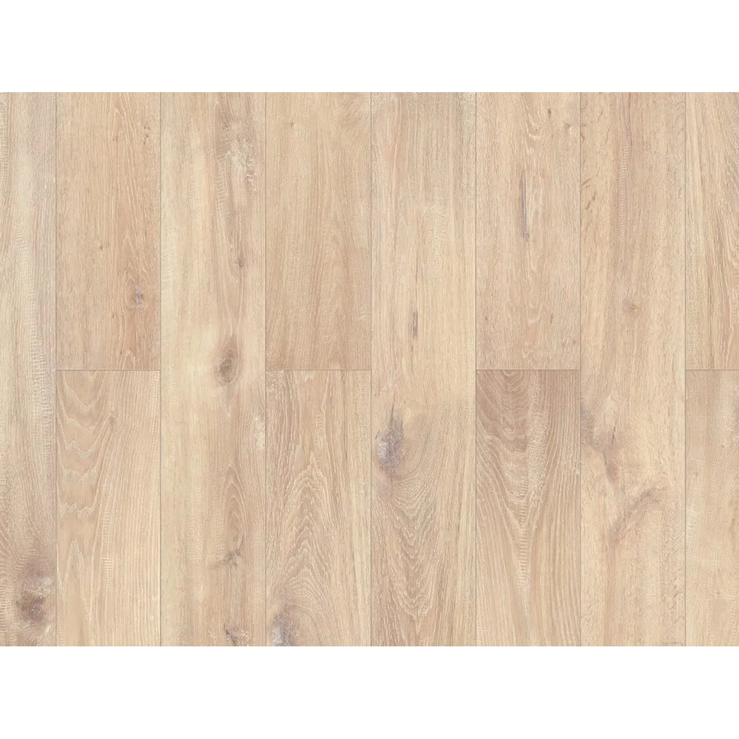 BASICfloor Laminat Eiche Gekalkt Beige Landhausdiele