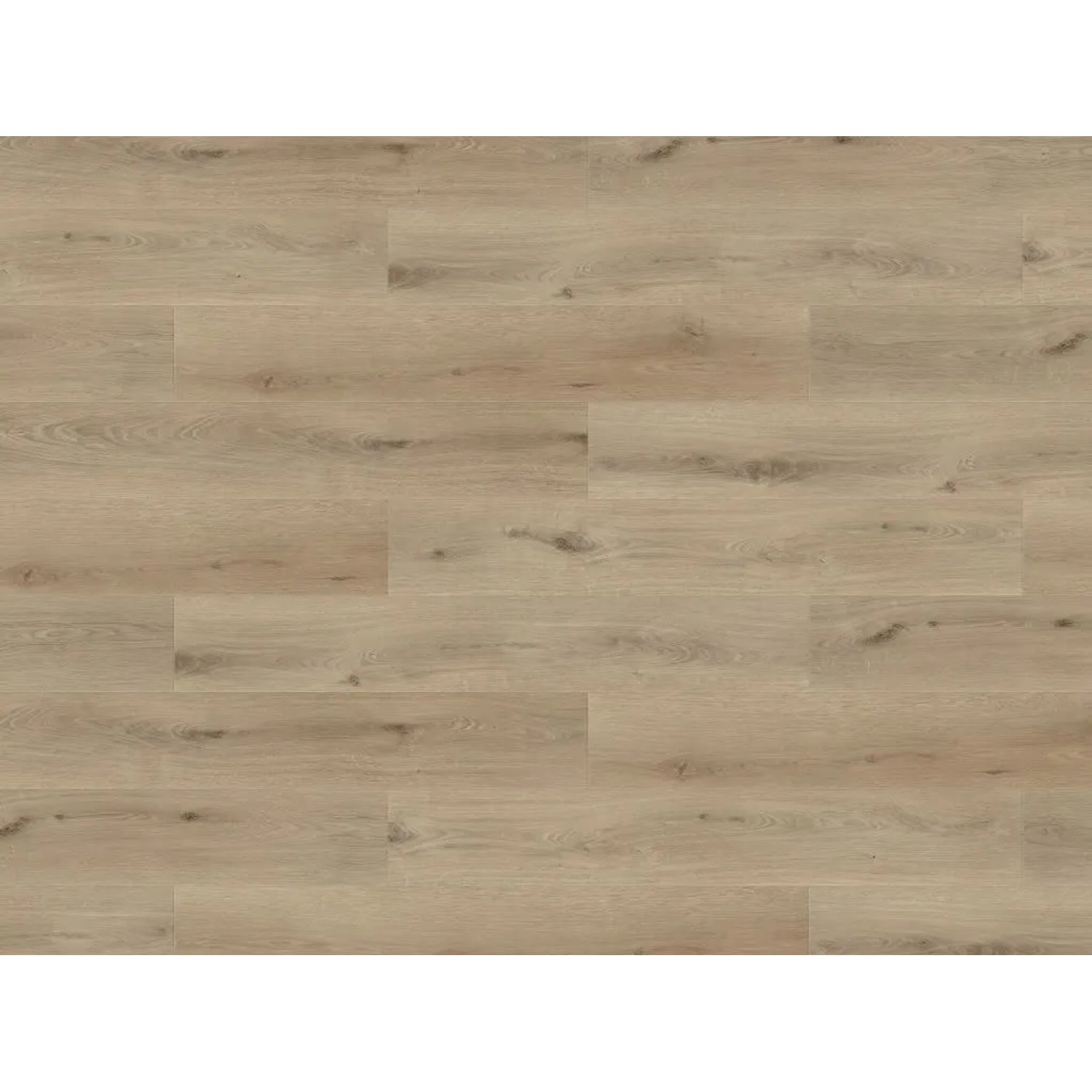 BASICfloor Vinylboden Oak Rustic Light Landhausdiele