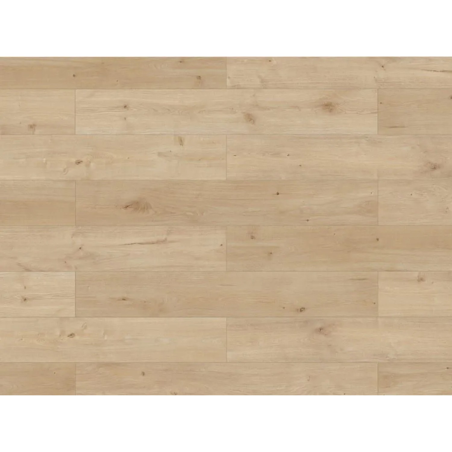 BASICfloor Laminat Lifestyle Trend Bellemont Oak Greige Landhausdiele