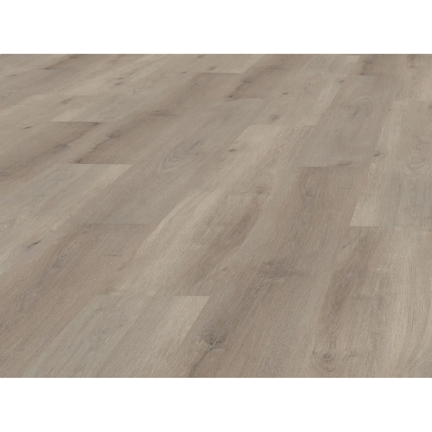 BASICfloor Vinylboden Klickvinyl Eiche Rustikal Steingrau Landhausdiele