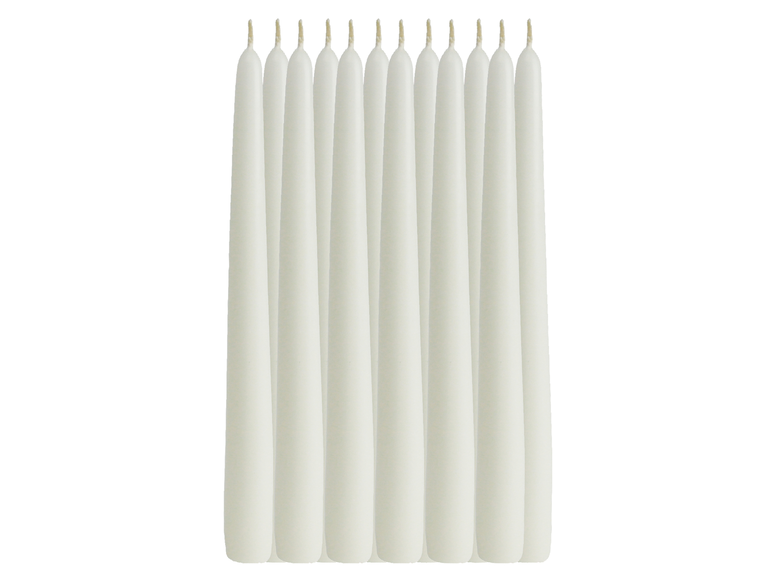 WIEDEMANN Tafelkerzen, elfenbein, 12 Stück, 250x25 mm