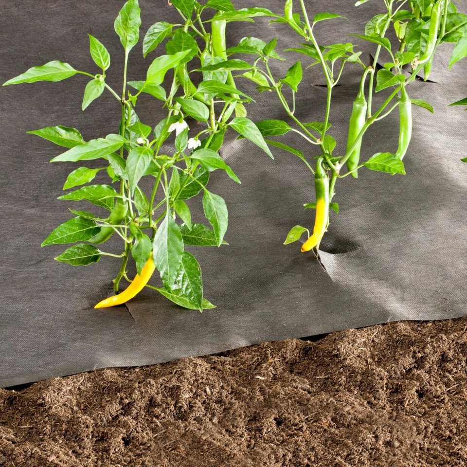 Windhager Unkrautvlies Gartenvlies gegen Unkrautwachstum Unkrautfolie für Garten, Beet, (1-St), erhältlich in 5 x 1,6 oder 10 x 1 m, 50 g/m² Bild 3