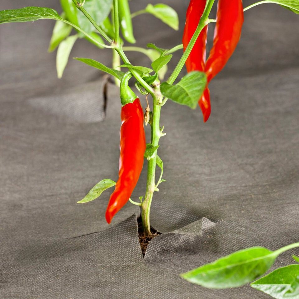Windhager Unkrautvlies Gartenvlies gegen Unkrautwachstum Unkrautfolie für Garten, Beet, (1-St), erhältlich in 5 x 1,6 oder 10 x 1 m, 50 g/m² Bild 4