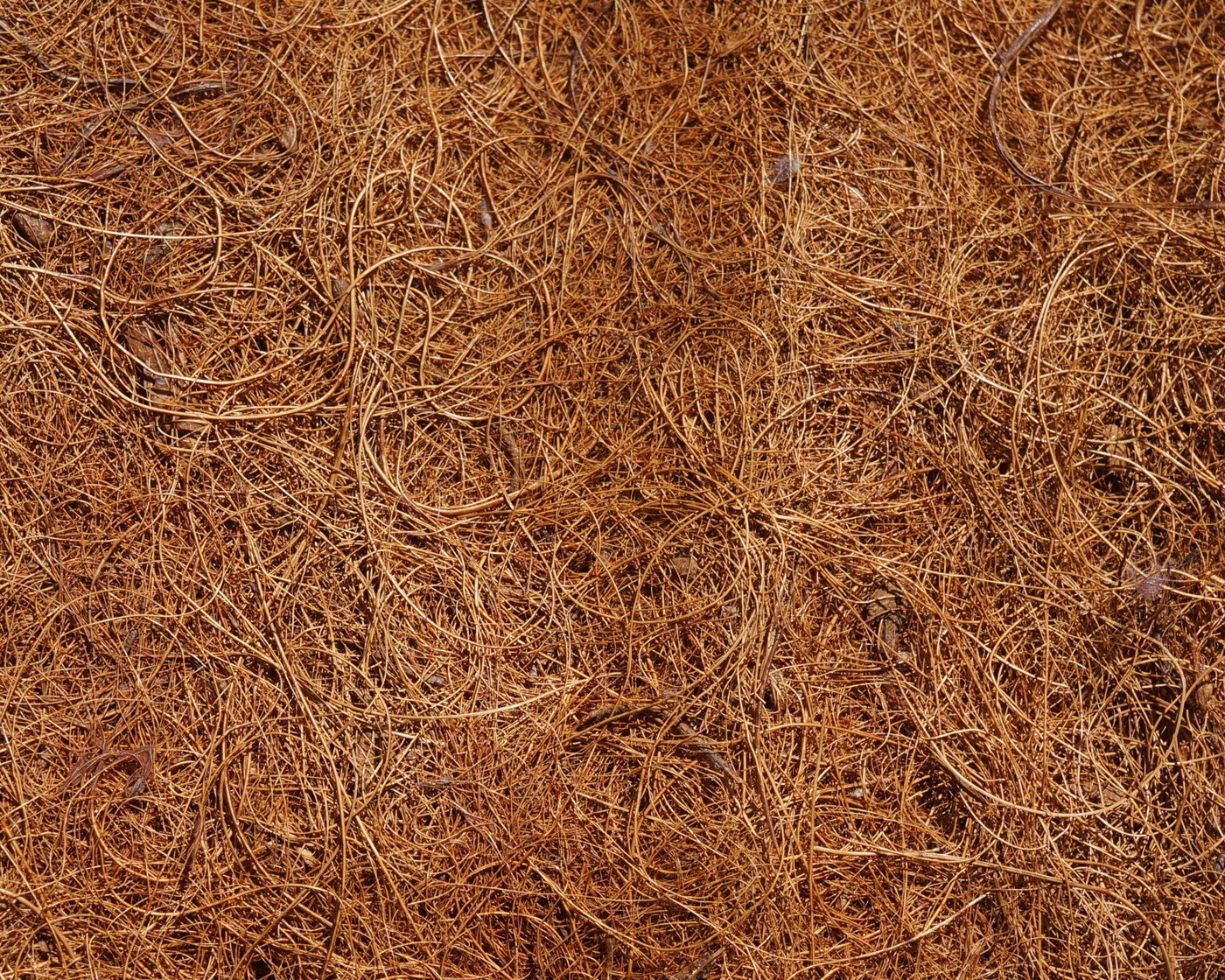 EraGreen Kokosmatte Kokosmatte 800g/m² 0,5m x 5m Winterschutz Pflanzen Kälteschutz Frosts, (Kokosmatte 800g/m² 0,5m x 5m, einseitig mit Naturlatex)