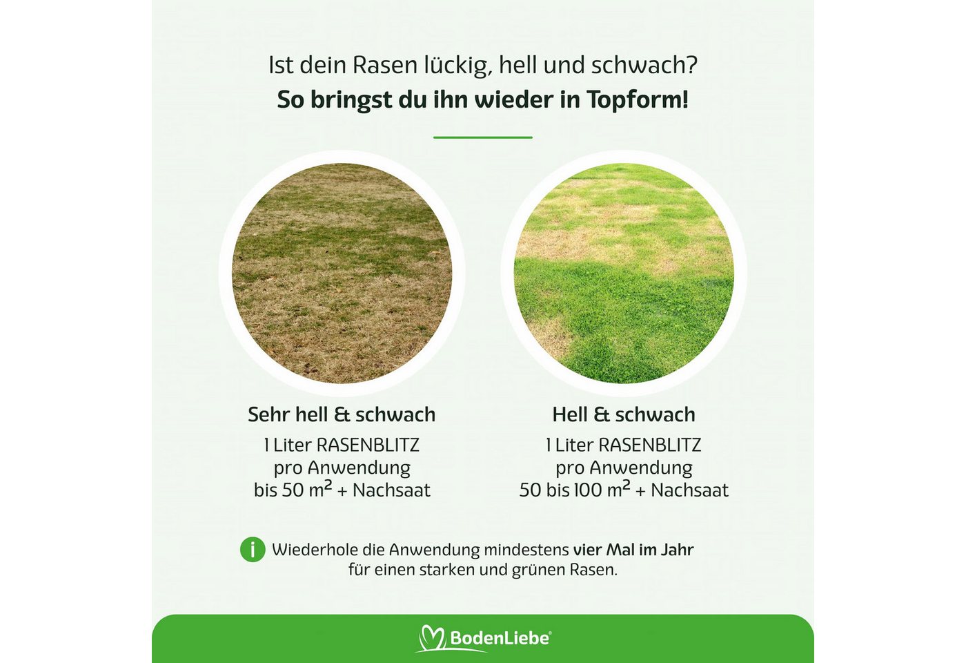 RASENBLITZ Rasendünger RASENBLITZ Ganzjahresdünger, 1 Liter, 2 Liter, 5 Liter, 10 Liter Bild 2
