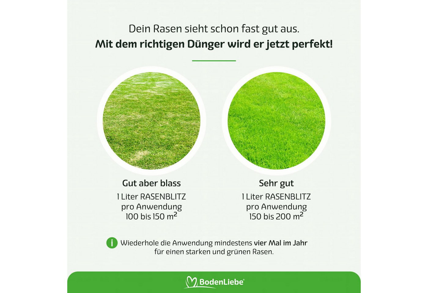 RASENBLITZ Rasendünger RASENBLITZ Ganzjahresdünger, 1 Liter, 2 Liter, 5 Liter, 10 Liter Bild 3